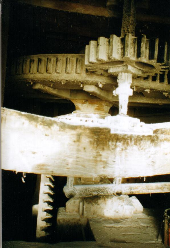  main gear on west side